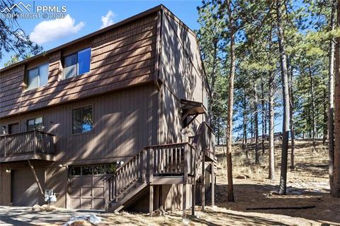 570 Manor Court D Woodland Park CO 80863