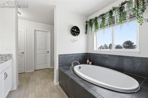 Tiny photo for 8296 Ansley Court, Peyton, CO 80831 (MLS # 6315453)