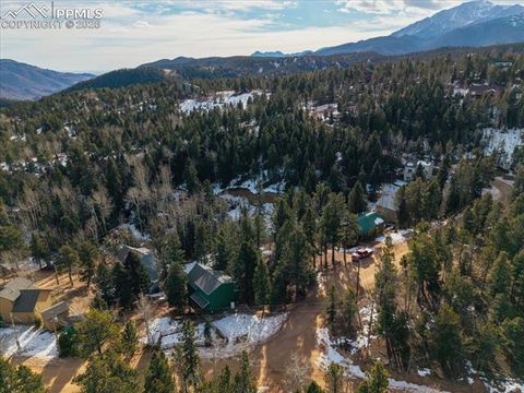 Photo of 41 Tecumseh Lane, Woodland Park, CO 80863 (MLS # 8657428)
