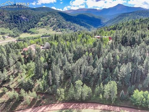 Photo of 490 Willow Road, Divide, CO 80814 (MLS # 3718842) Photo of 490 Willow Road, Divide, CO 80814 (MLS # 3718842)