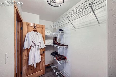 Tiny photo for 1978 High Chateau Road, Florissant, CO 80816 (MLS # 4941124)
