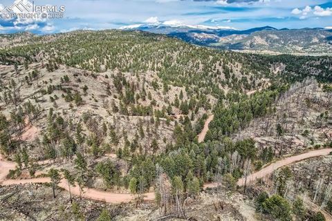 Tiny photo for 1978 High Chateau Road, Florissant, CO 80816 (MLS # 4941124)