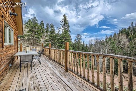 Tiny photo for 1978 High Chateau Road, Florissant, CO 80816 (MLS # 4941124)