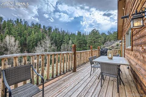 Tiny photo for 1978 High Chateau Road, Florissant, CO 80816 (MLS # 4941124)