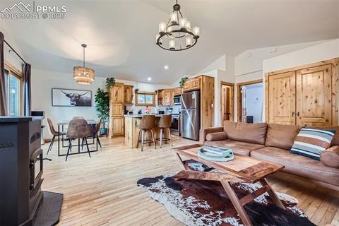 Tiny photo for 1978 High Chateau Road, Florissant, CO 80816 (MLS # 4941124)