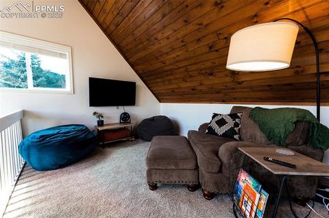 Tiny photo for 918 Lorraine Avenue, Woodland Park, CO 80863 (MLS # 1899529)