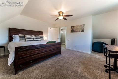 Tiny photo for 918 Lorraine Avenue, Woodland Park, CO 80863 (MLS # 1899529)