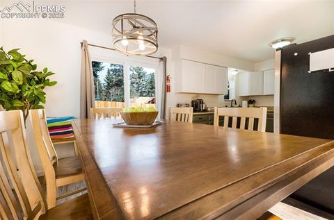 Tiny photo for 918 Lorraine Avenue, Woodland Park, CO 80863 (MLS # 1899529)