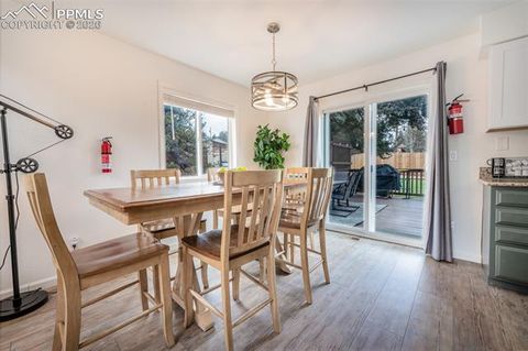 Tiny photo for 918 Lorraine Avenue, Woodland Park, CO 80863 (MLS # 1899529)