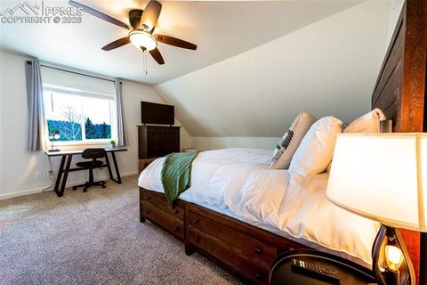 Tiny photo for 918 Lorraine Avenue, Woodland Park, CO 80863 (MLS # 1899529)