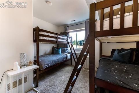 Tiny photo for 918 Lorraine Avenue, Woodland Park, CO 80863 (MLS # 1899529)