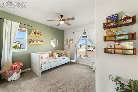 Tiny photo for 10025 Waterton Canyon Way, Colorado Springs, CO 80924 (MLS # 8113011)
