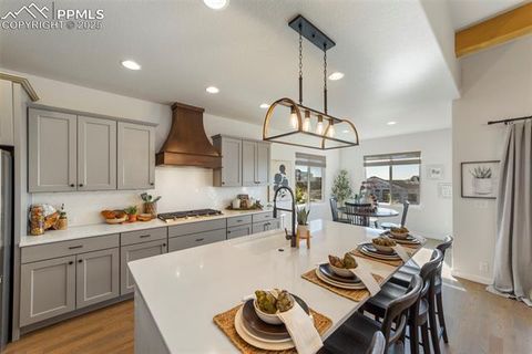 Tiny photo for 10025 Waterton Canyon Way, Colorado Springs, CO 80924 (MLS # 8113011)