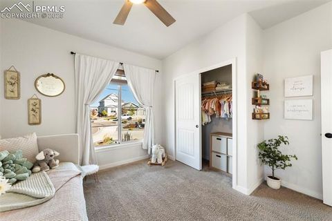 Tiny photo for 10025 Waterton Canyon Way, Colorado Springs, CO 80924 (MLS # 8113011)