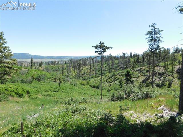 8249 Yuma Circle, Larkspur, CO, 80118 8249 Yuma Circle