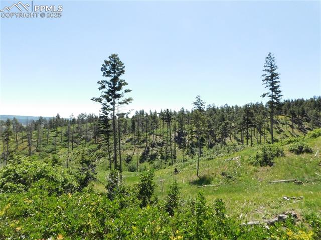 8249 Yuma Circle, Larkspur, CO, 80118 8249 Yuma Circle