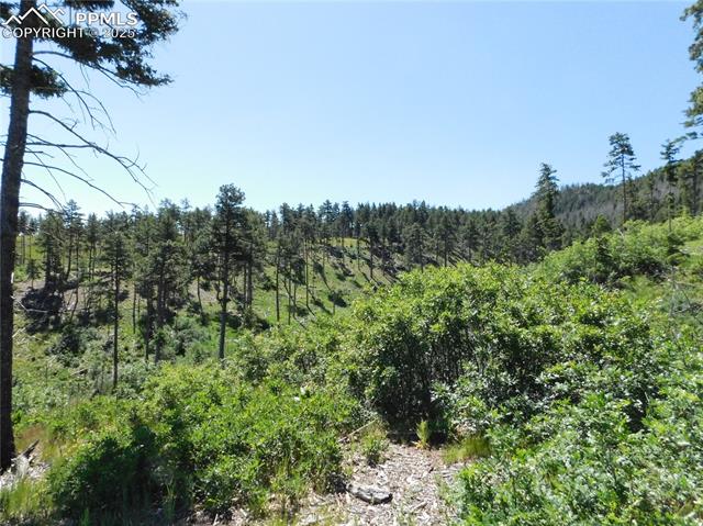 8249 Yuma Circle, Larkspur, CO, 80118 8249 Yuma Circle