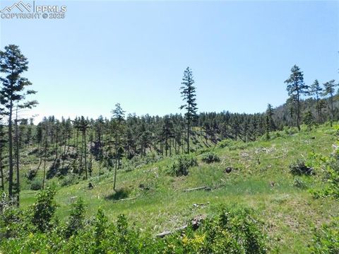 Photo of 8249 Yuma Circle, Larkspur, CO 80118 (MLS # 7667248)