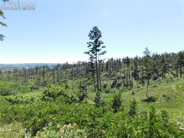 8249 Yuma Circle, Larkspur, CO, 80118 8249 Yuma Circle