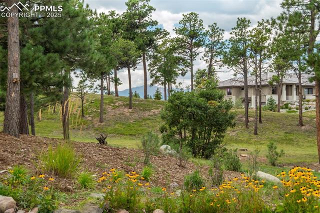 5085 Saxton Hollow Road