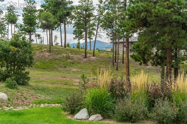 5085 Saxton Hollow Road