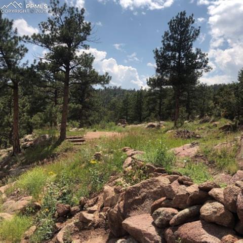 5915 County Road 11