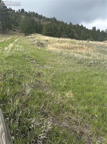 5915 County Road 11