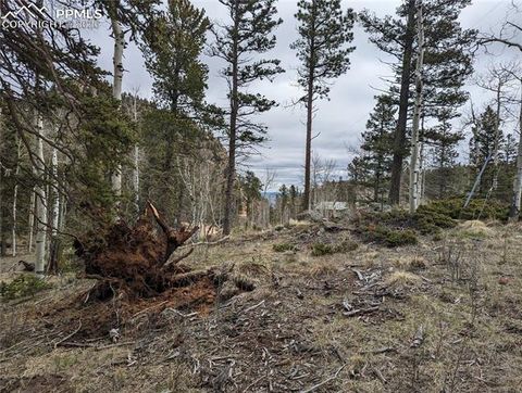 146 Waterfall Loop Manitou Springs CO 80829