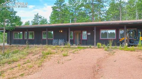 3721 County Road 3 Florissant CO 80816