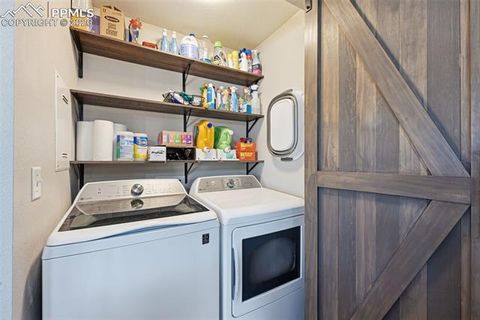 Tiny photo for 185 Circle Drive, Florissant, CO 80816 (MLS # 8453765)