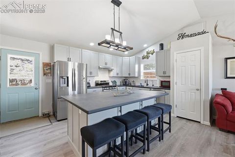 Tiny photo for 185 Circle Drive, Florissant, CO 80816 (MLS # 8453765)
