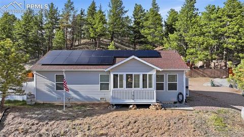 Photo of 185 Circle Drive, Florissant, CO 80816 (MLS # 8453765)