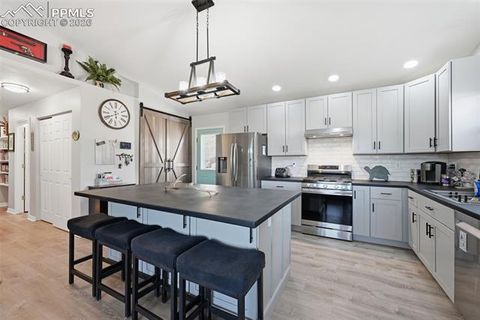 Tiny photo for 185 Circle Drive, Florissant, CO 80816 (MLS # 8453765)
