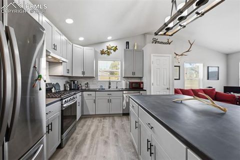 Tiny photo for 185 Circle Drive, Florissant, CO 80816 (MLS # 8453765)