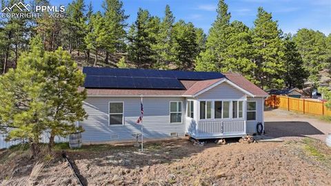 Tiny photo for 185 Circle Drive, Florissant, CO 80816 (MLS # 8453765)