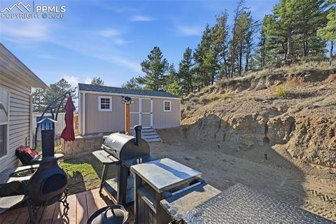 Tiny photo for 185 Circle Drive, Florissant, CO 80816 (MLS # 8453765)
