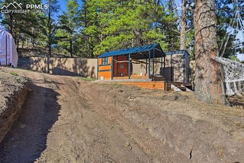 Tiny photo for 185 Circle Drive, Florissant, CO 80816 (MLS # 8453765)
