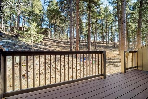 Tiny photo for 554 Manor Court #C, Woodland Park, CO 80863 (MLS # 9538949)