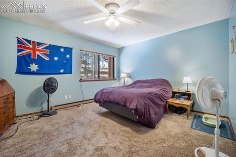 Tiny photo for 554 Manor Court #C, Woodland Park, CO 80863 (MLS # 9538949)