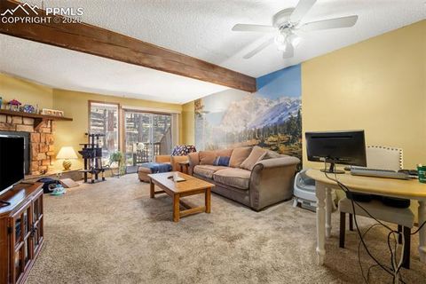 Tiny photo for 554 Manor Court #C, Woodland Park, CO 80863 (MLS # 9538949)