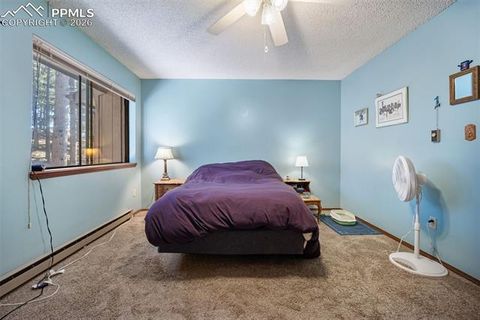 Tiny photo for 554 Manor Court #C, Woodland Park, CO 80863 (MLS # 9538949)
