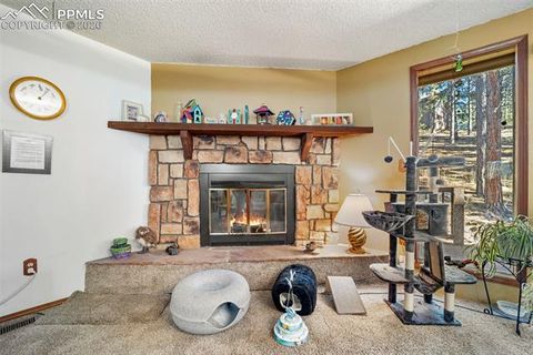 Tiny photo for 554 Manor Court #C, Woodland Park, CO 80863 (MLS # 9538949)