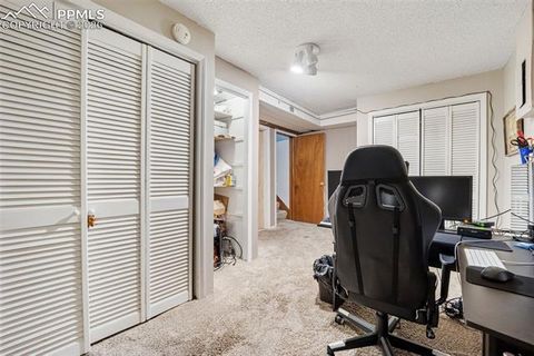 Tiny photo for 554 Manor Court #C, Woodland Park, CO 80863 (MLS # 9538949)