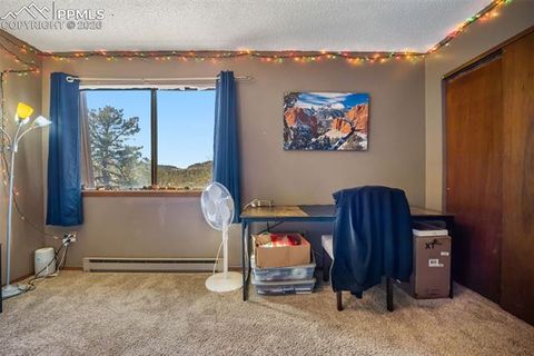 Tiny photo for 554 Manor Court #C, Woodland Park, CO 80863 (MLS # 9538949)