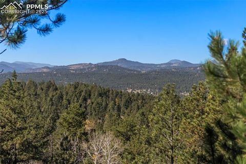 Tiny photo for 247 Pinewood Road, Florissant, CO 80816 (MLS # 9325518)