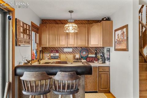 Tiny photo for 247 Pinewood Road, Florissant, CO 80816 (MLS # 9325518)