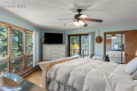 Tiny photo for 247 Pinewood Road, Florissant, CO 80816 (MLS # 9325518)