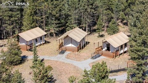 Tiny photo for 247 Pinewood Road, Florissant, CO 80816 (MLS # 9325518)