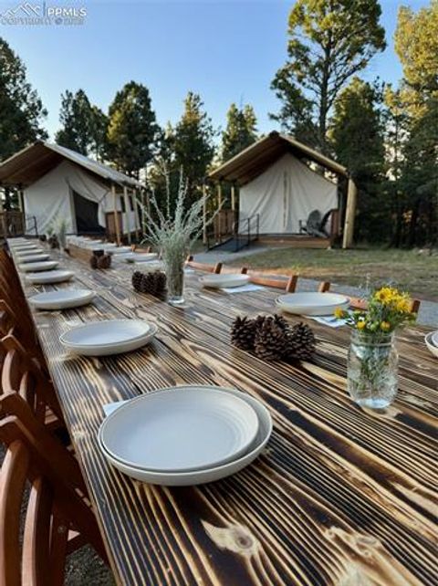 Tiny photo for 247 Pinewood Road, Florissant, CO 80816 (MLS # 9325518)