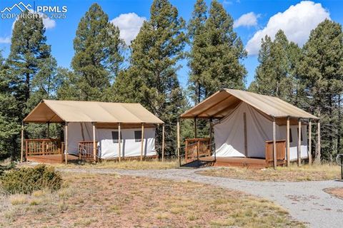 Tiny photo for 247 Pinewood Road, Florissant, CO 80816 (MLS # 9325518)